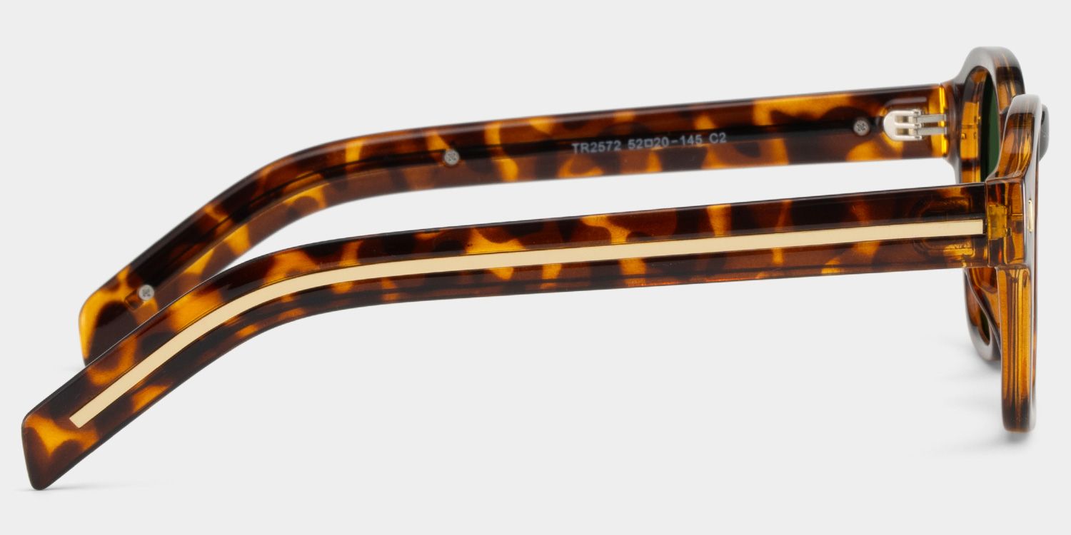 Leilani tortoise Frame Polarized Sunglasses with rectangle Style Online | ZEELOOL4