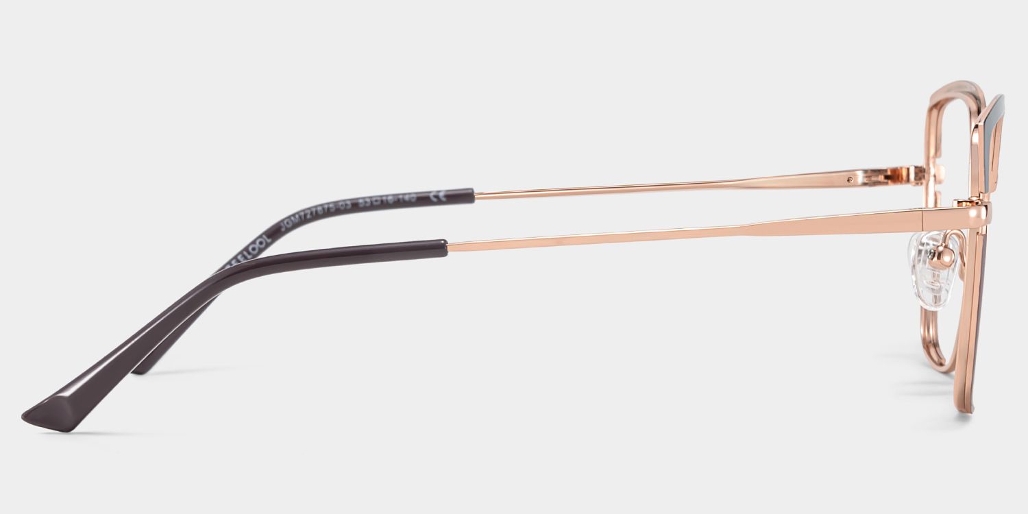 Grasso Square Two-Tone Eyeglasses & Metal Frames3