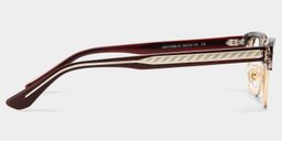 Eden Brown Rectangle Glasses3
