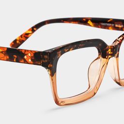 Grover Rectangle Tortoise Glasses4