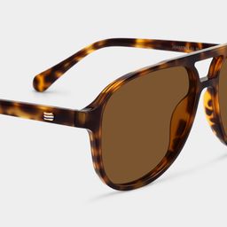 Luna Tortoise Aviator Glasses4
