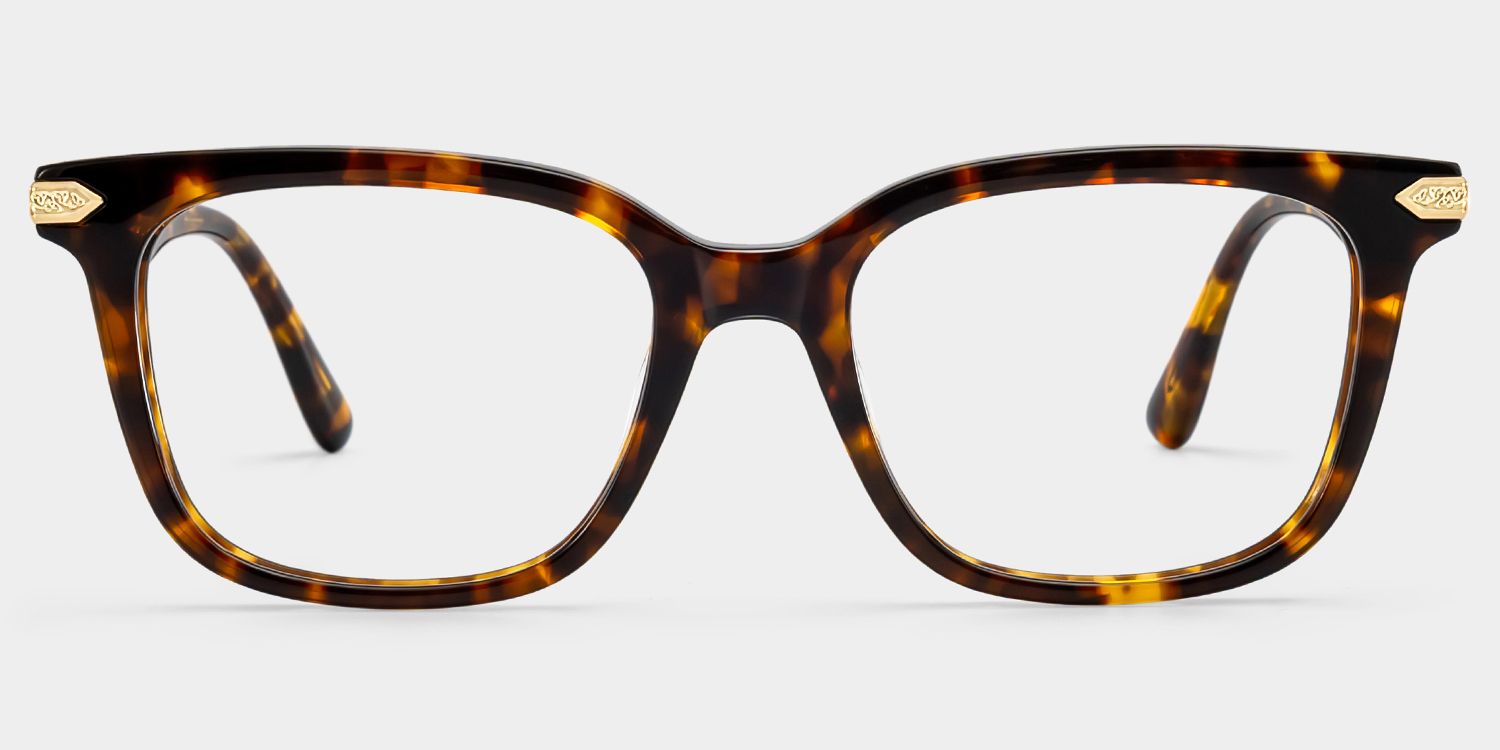 Thomas Tortoise Frame Glasses with Rectangle Frame Online | ZEELOOL