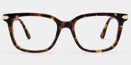 Thomas Rectangle Tortoise Glasses1