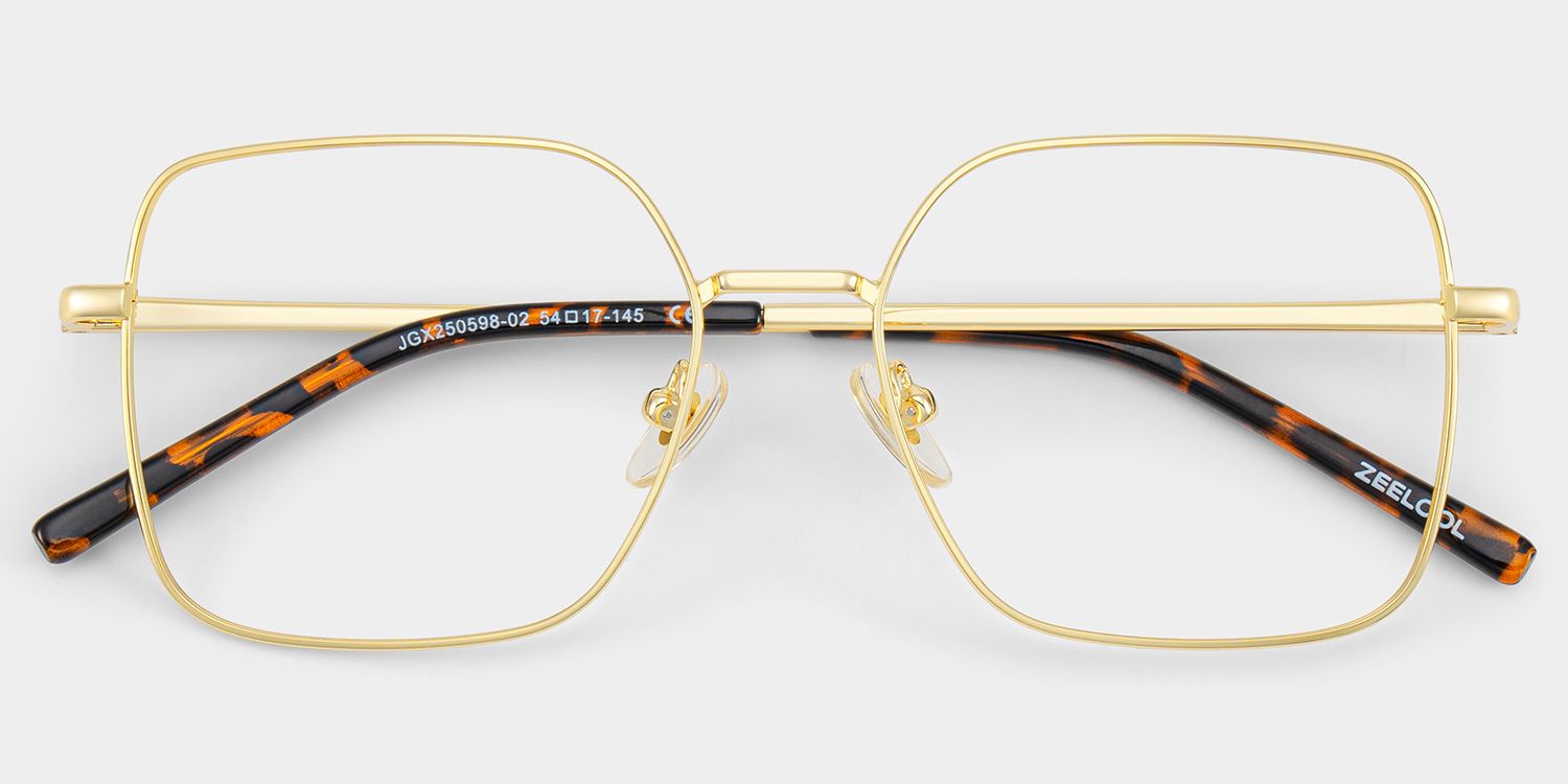 Abigail Tortoise Shell Glasses with Gold Arms for Women in Daily
