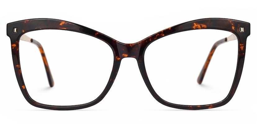Isaebella Butterfly Tortoise Glasses