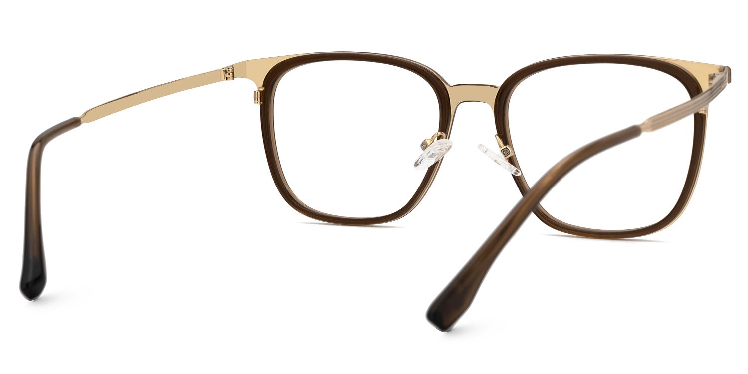 Brown Mixed-Material Rectangle Eyeglasses- Ridgley3