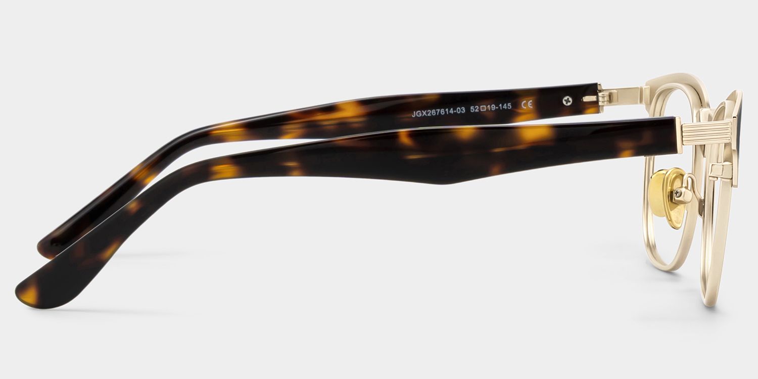 Penelope Tortoise Browline Glasses for Men | ZEELOOL