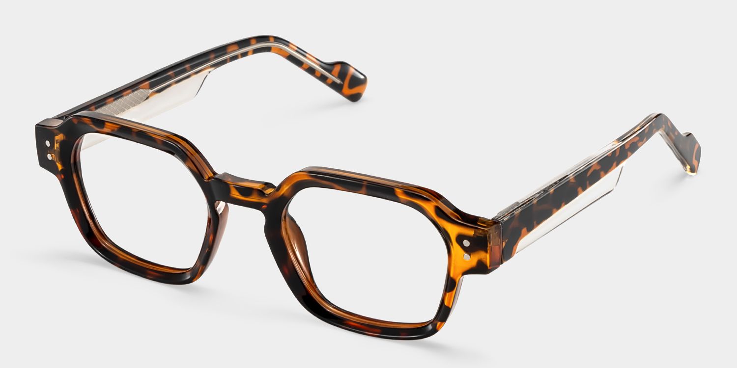 Joy Tortoise Frame Glasses with Geometric Frame Online | ZEELOOL