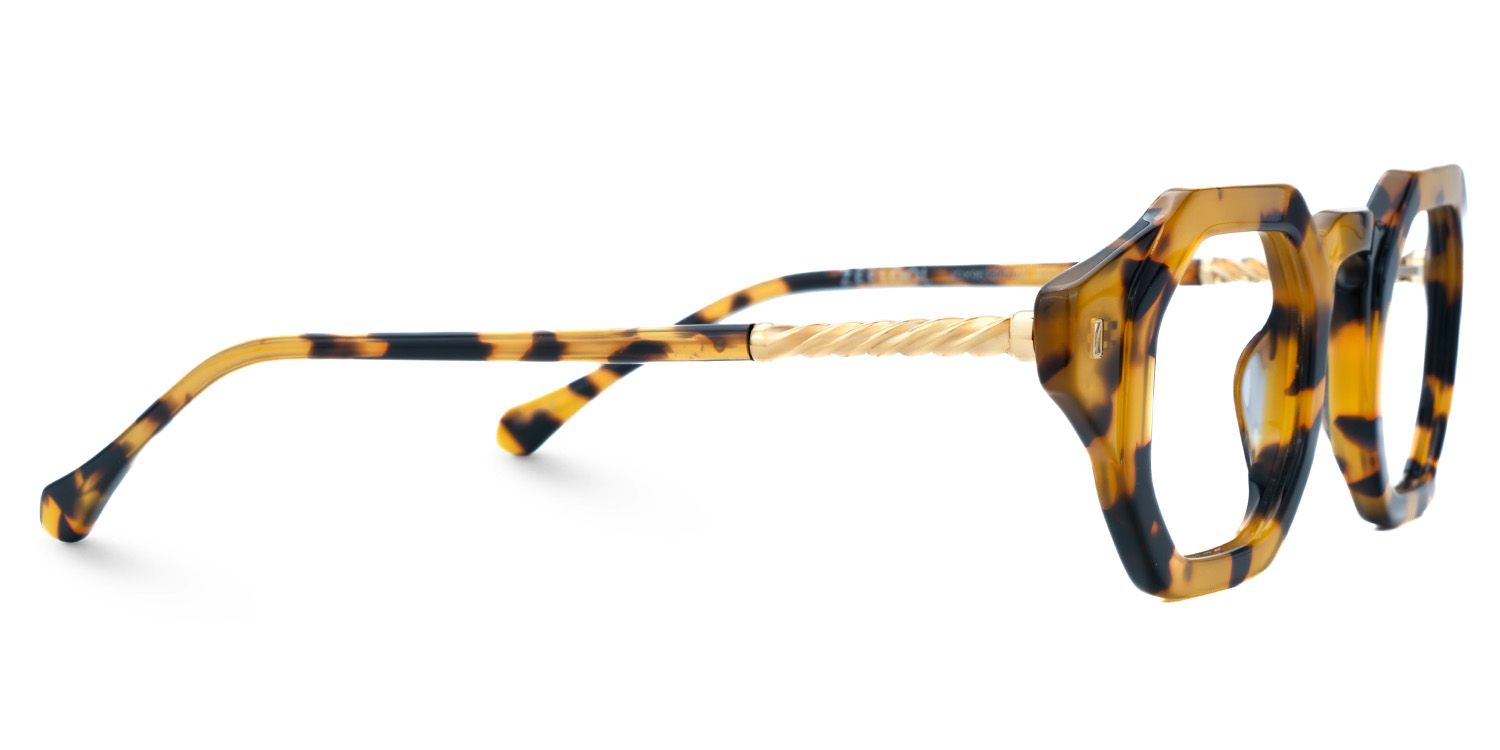 Buy Tortoise Hexagon Shape Spectacles Online | Zeelool2