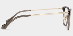 Eve Rectangle Brown Glasses4
