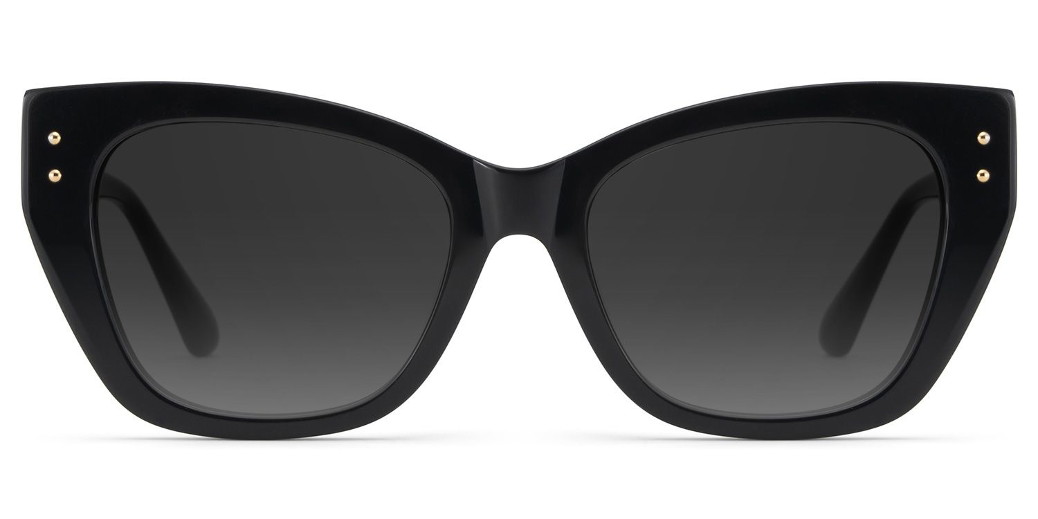 Skylar Acetate Black Frame Sunglasses | ZEELOOL