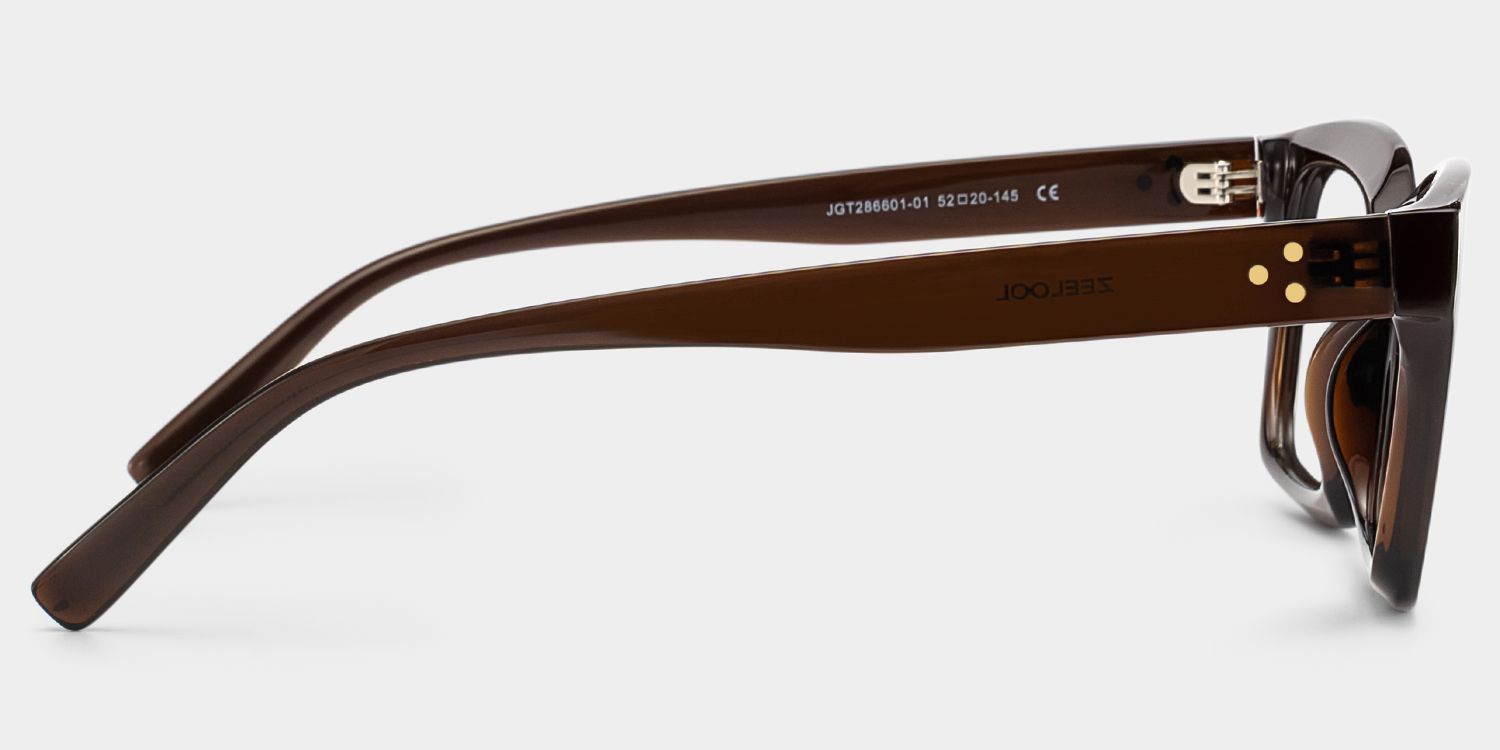 Marley Sepia & Dark Brown Rectangle Frame Glasses | ZEELOOL4