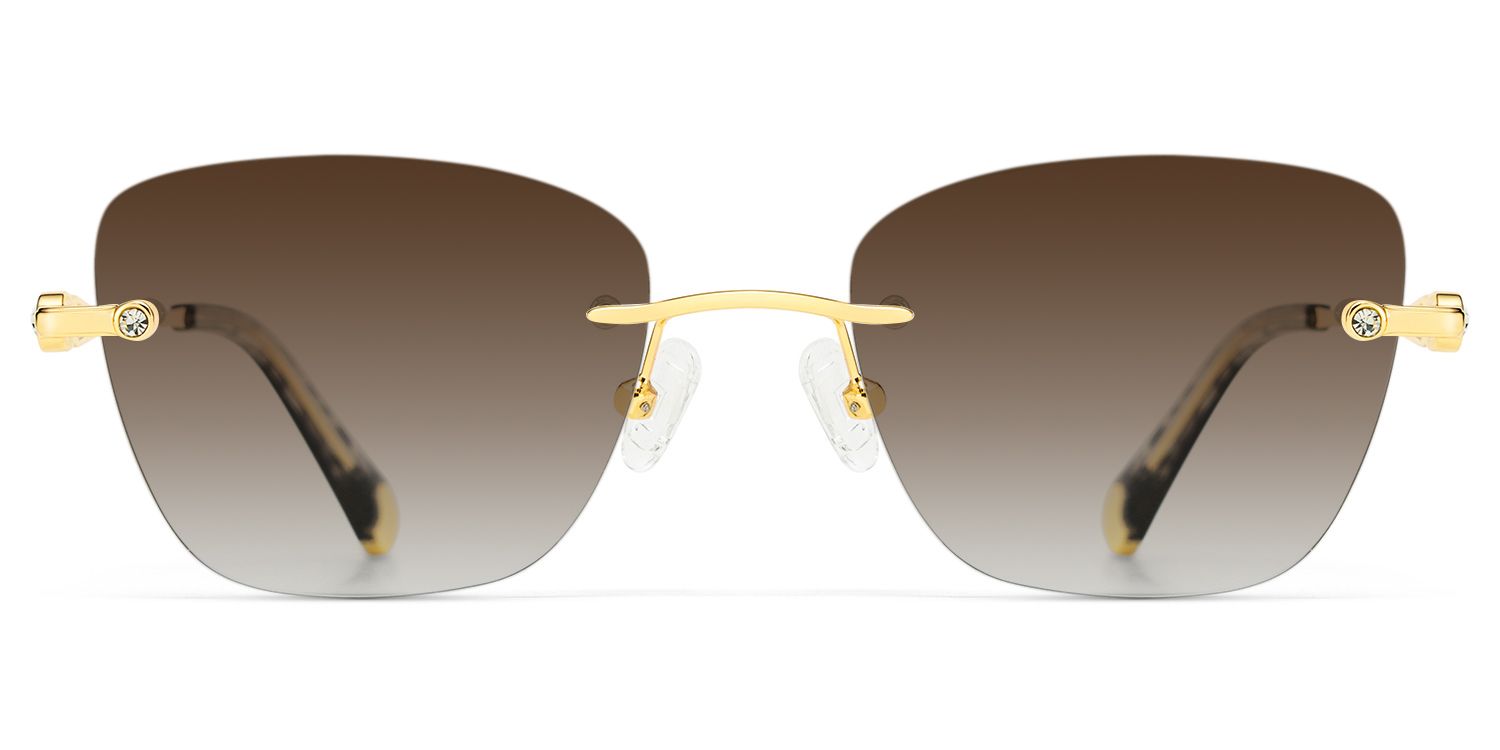 Rectangle Gold Eyeglasses- Seth Metal Frame Glasses0