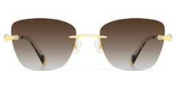 Seth Rectangle Gold Glasses0