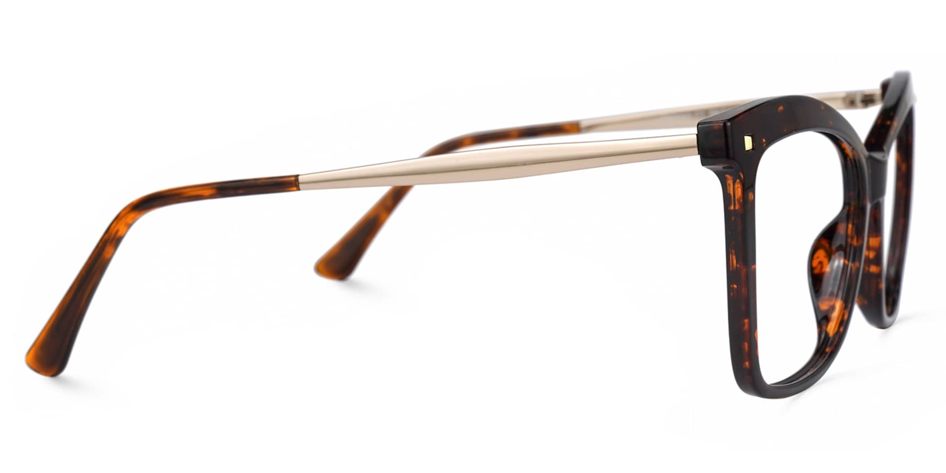 Isaebella Butterfly Tortoise Frame Glasses | Zeelool Optical2