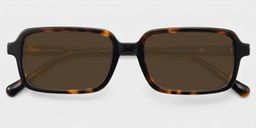 Danielle Tortoise Rectangle Glasses1