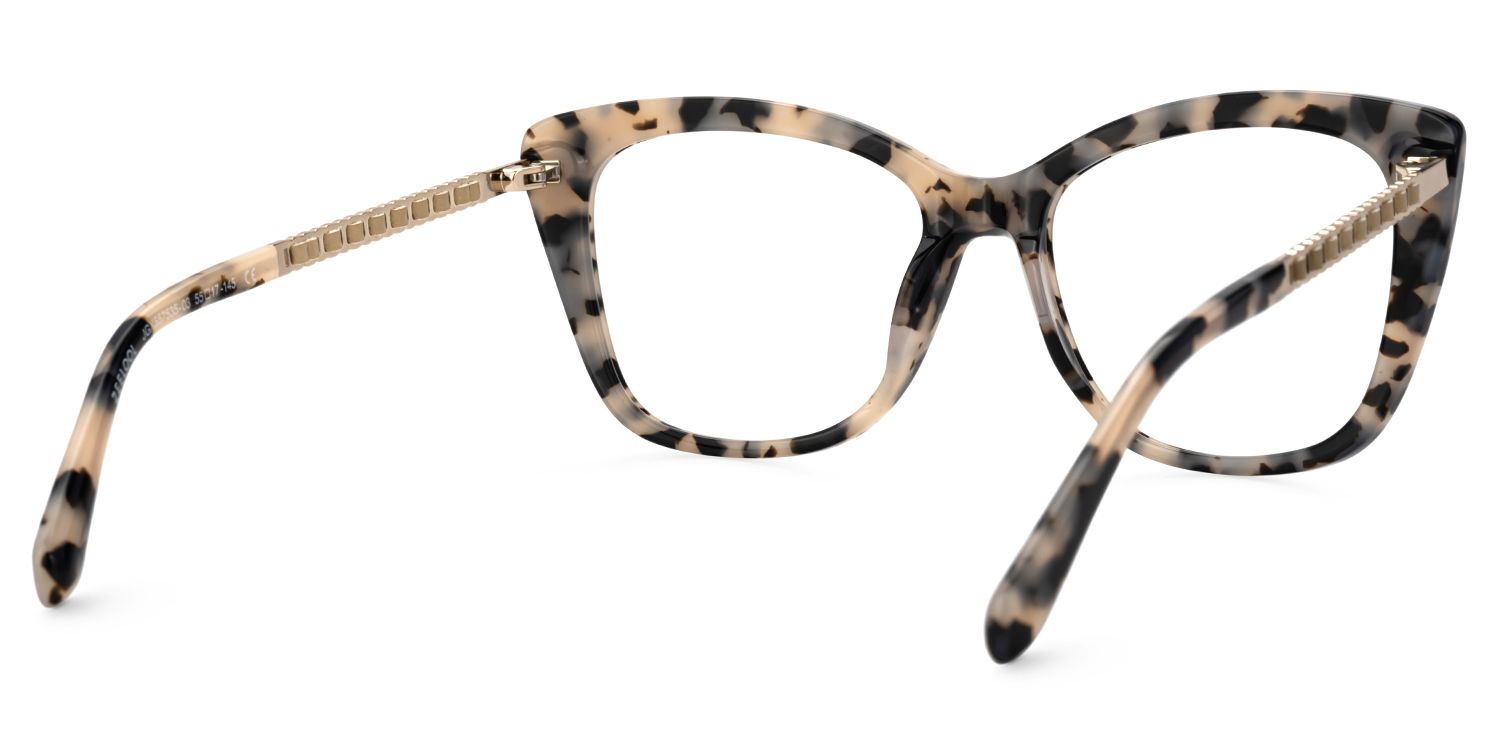Deangela Tortoise shell Glasses With Metal Arms  | Zeelool4