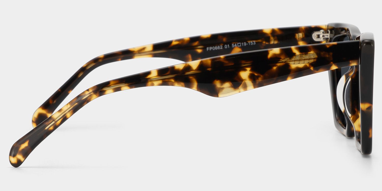 Cecile Cat Eye Tortoise Sunglasses | Zeelool Glasses3