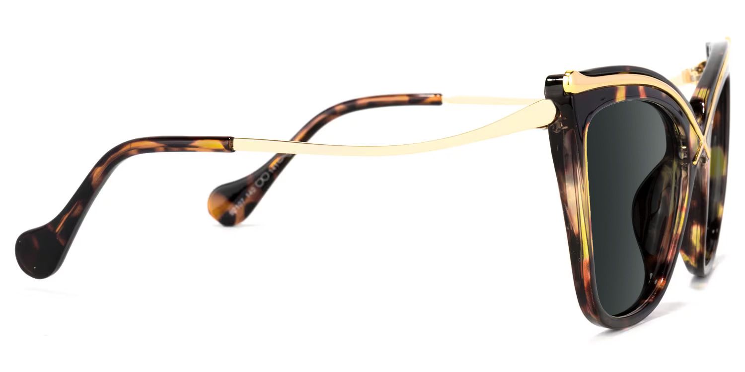 Winston Butterfly Tortoise Frame Sunglasses | Zeelool Optical3