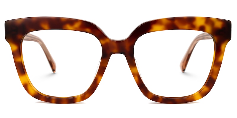 Nina Square Tortoise Glasses0