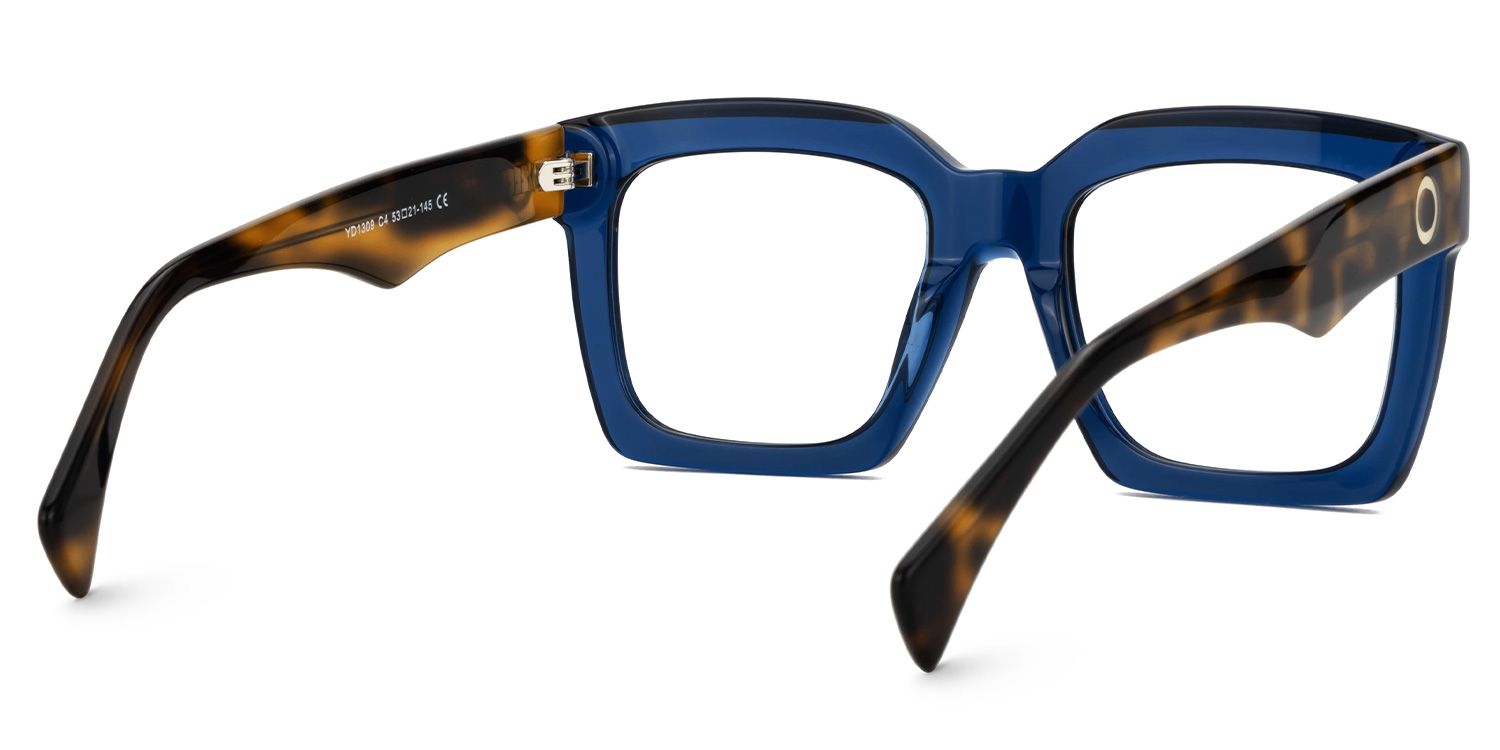 Faridah Blue Fade Square Glasses with Tortoise Arms3