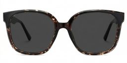 Siner Square Havana Glasses0