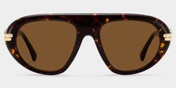 Aveline Tortoise Aviator Glasses0
