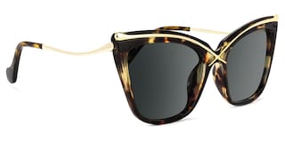 Winston Butterfly Tortoise Glasses2