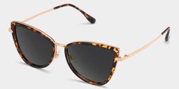 Sloane Cat-Eye Tortoise Glasses2
