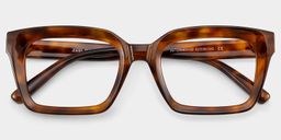 Marley Tortoise Rectangle Glasses2