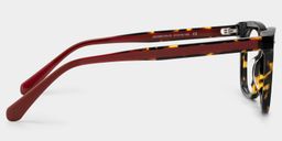 Angela Tortoise Rectangle Glasses5