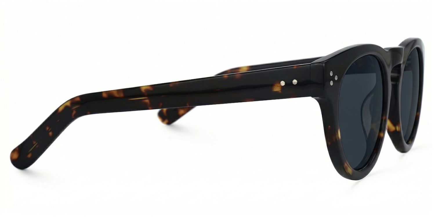 Malloy Tortoise Round Polarized Sunglasses for Driving | ZEELOOL2