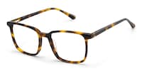 Aidan Rectangle Tortoise Glasses3