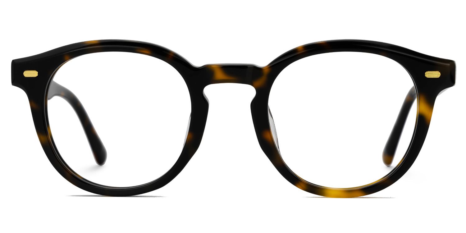 Dicks Eyeglasses in Round Tortoise Frame | Zeelool0