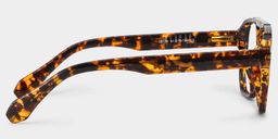 Colton Aviator Tortoise Glasses3
