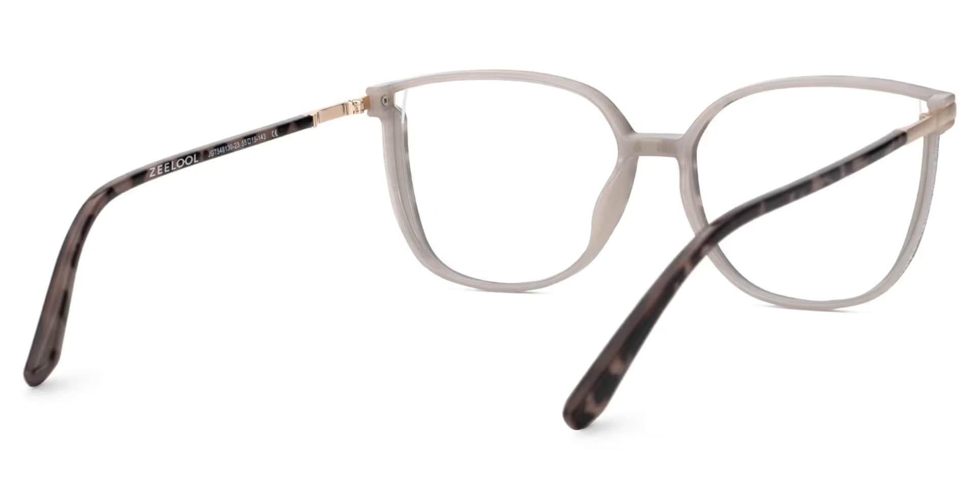 Rodz Tortoise-Blue Eyeglasses with Designer Frame3