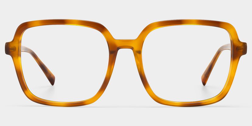 Kenneth Dark Tortoise Square Glasses