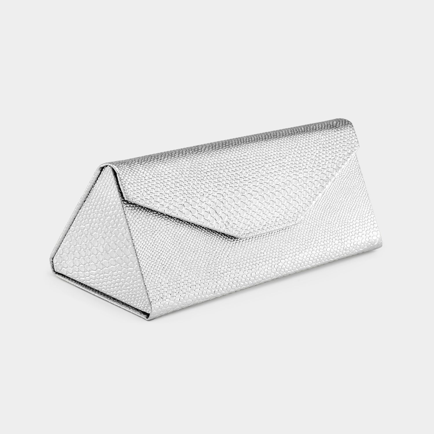 Silver Portable Glasses Storage Bag6