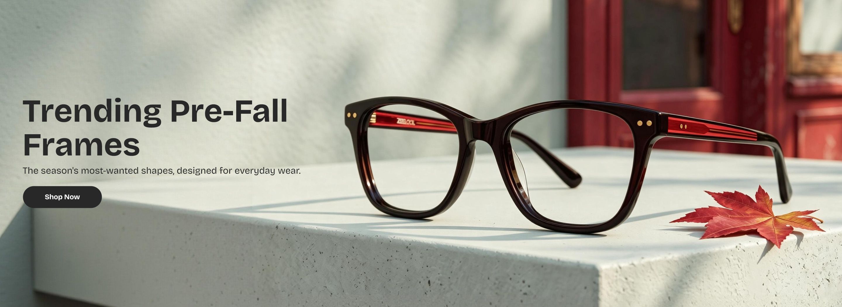 Zeelool optical eyeglasses online store TopBanner0