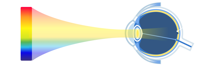 Why Are Our Eyes Affected by Blue Light?