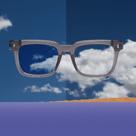 Protection from Changing Light Conditions