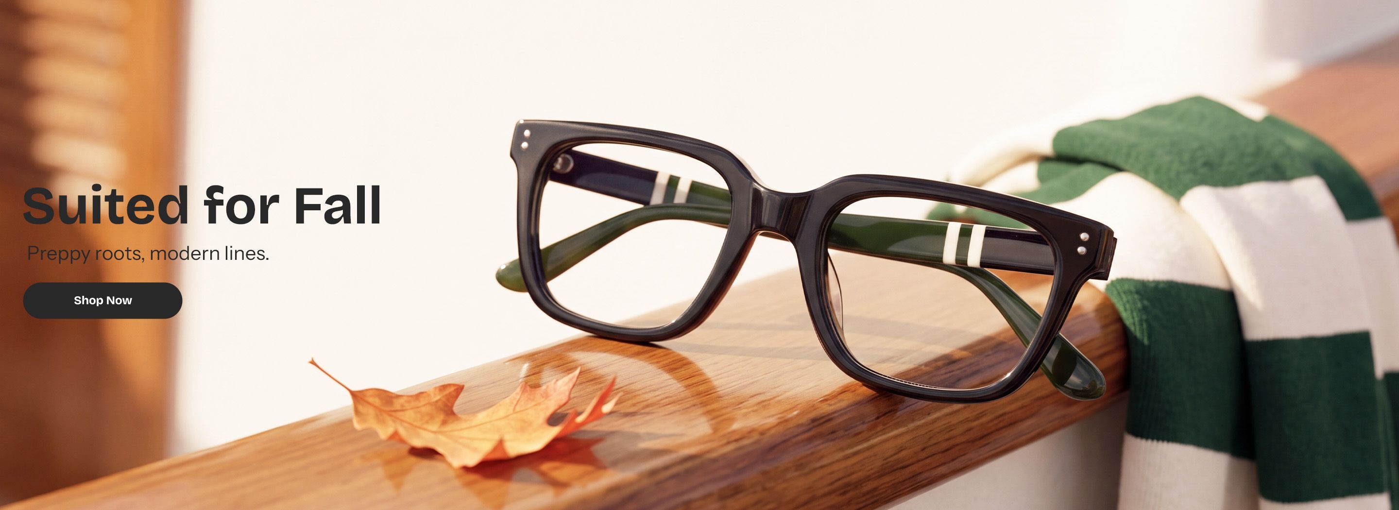 Zeelool optical eyeglasses online store TopBanner1