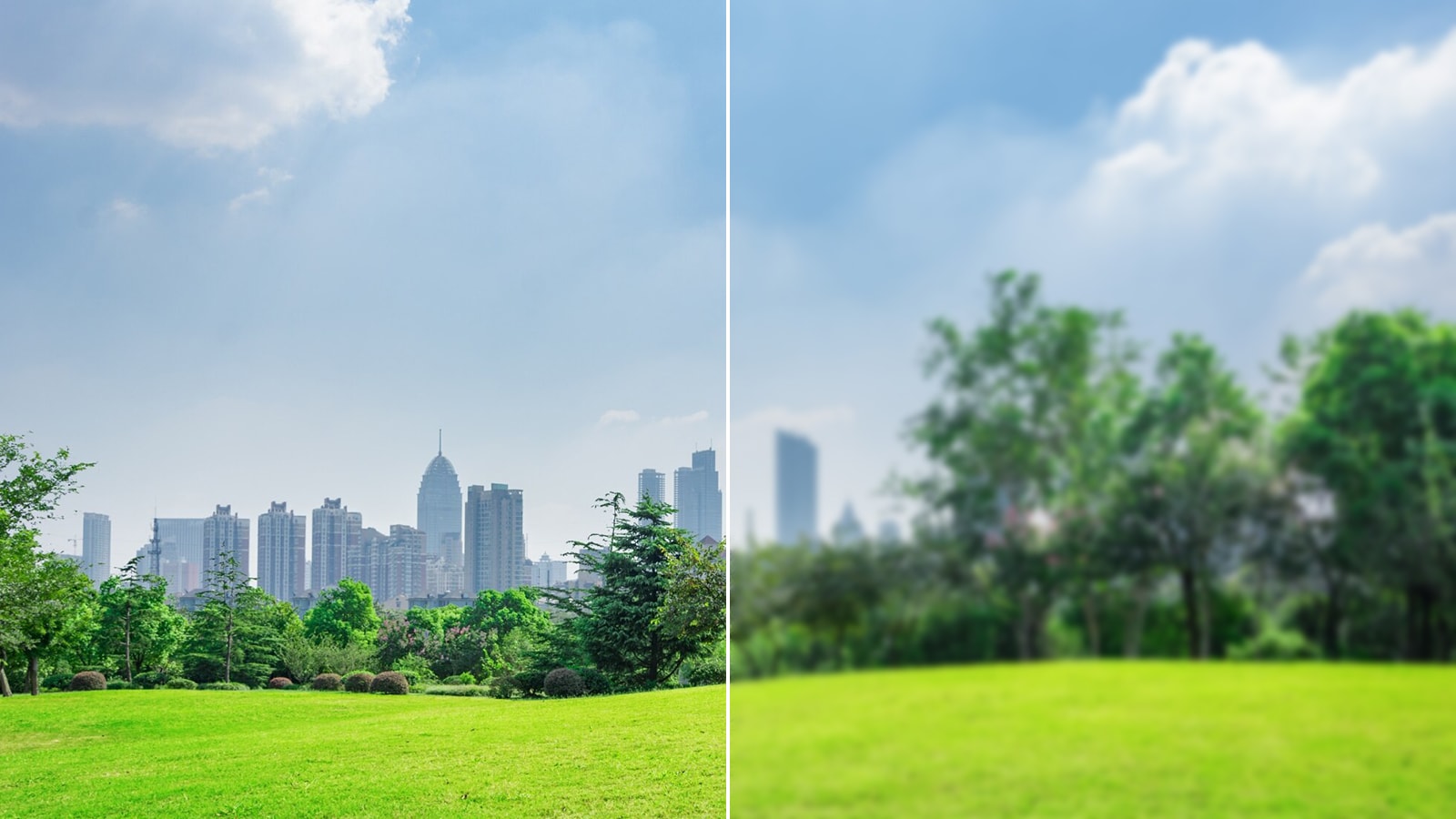 A side-by-side comparison of a city park with a clear skyline on the left and a blurry, out-of-focus view on the right.