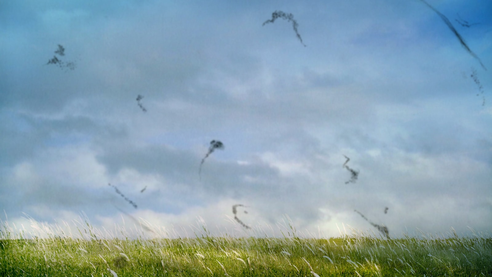 Can Eye Strain Cause Floaters in Your Vision?