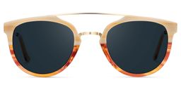 Watson Aviator Sunglasses0