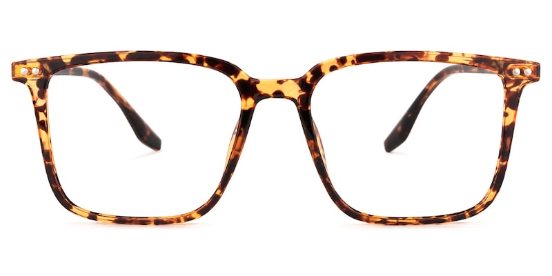 Tobias Square Tortoise Glasses | Zeelool Glasses0