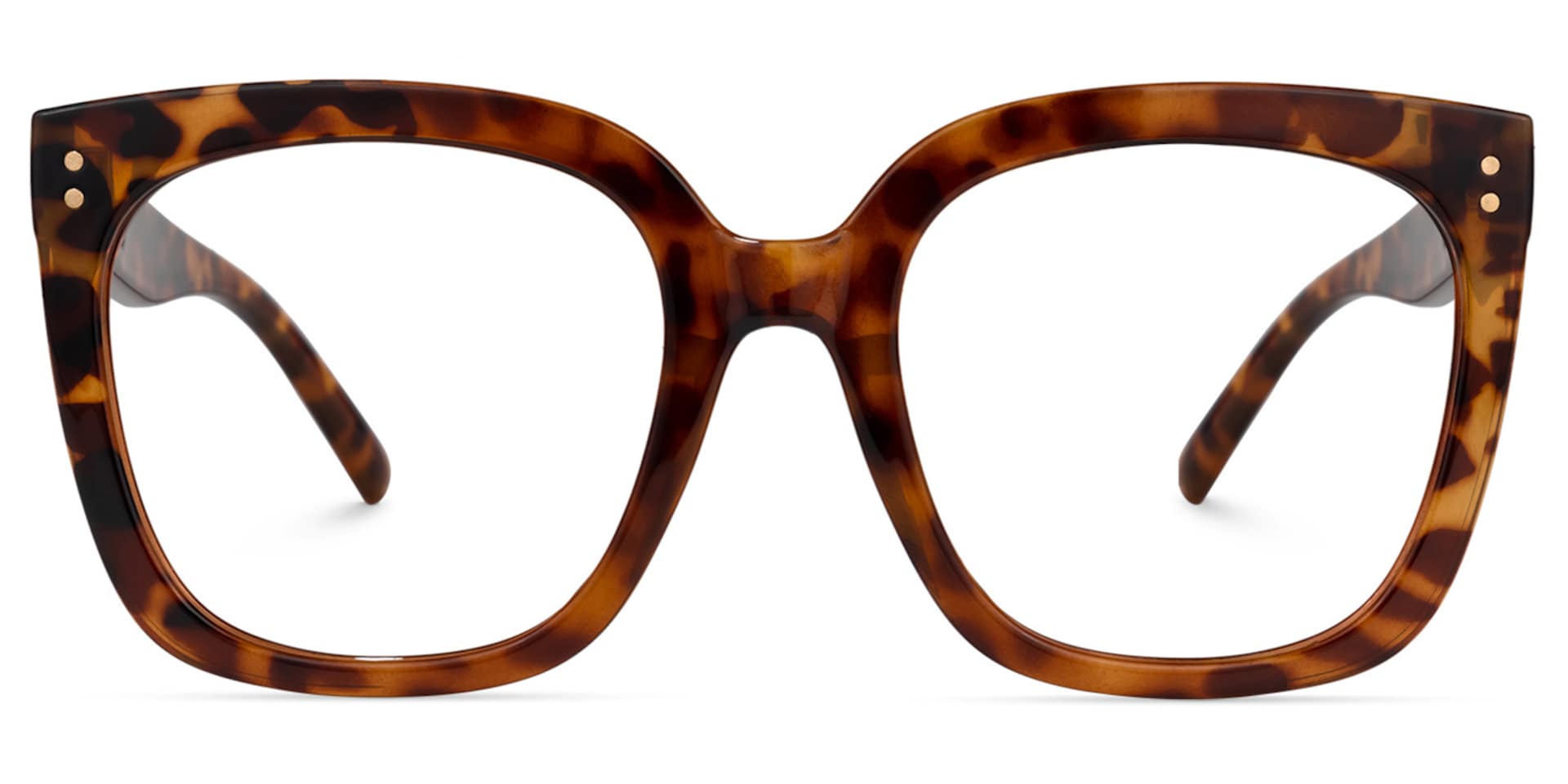 Ebony Tortoise Eyeglasses and Square Glasses Frames0
