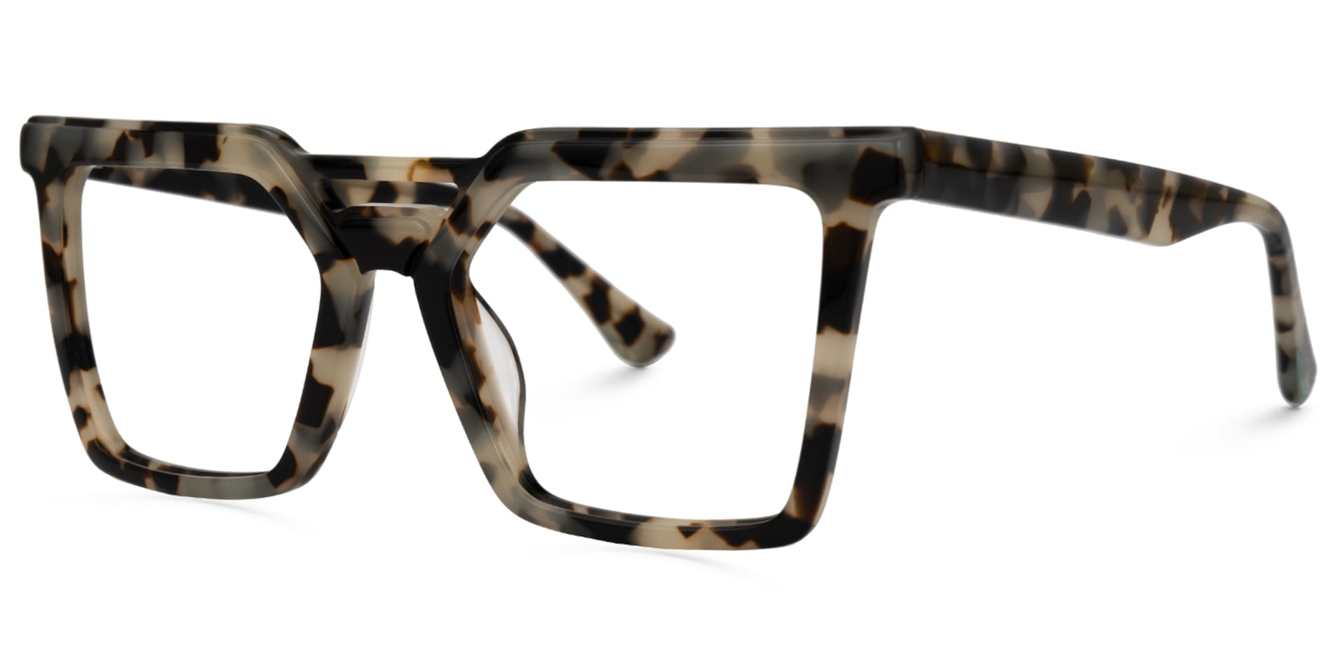Demar Square Tortoise Glasses | Zeelool Glasses1
