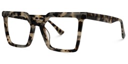 Demar Square Tortoise Glasses1