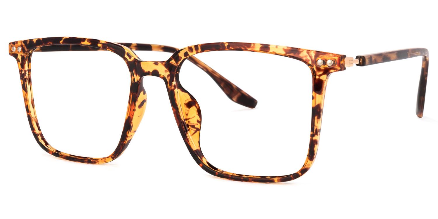 Tobias Square Tortoise Glasses | Zeelool Glasses1